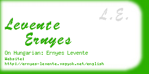 levente ernyes business card